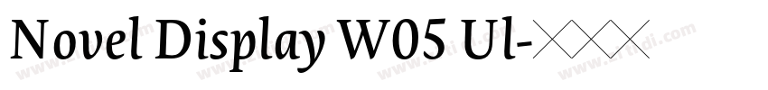 Novel Display W05 Ul字体转换